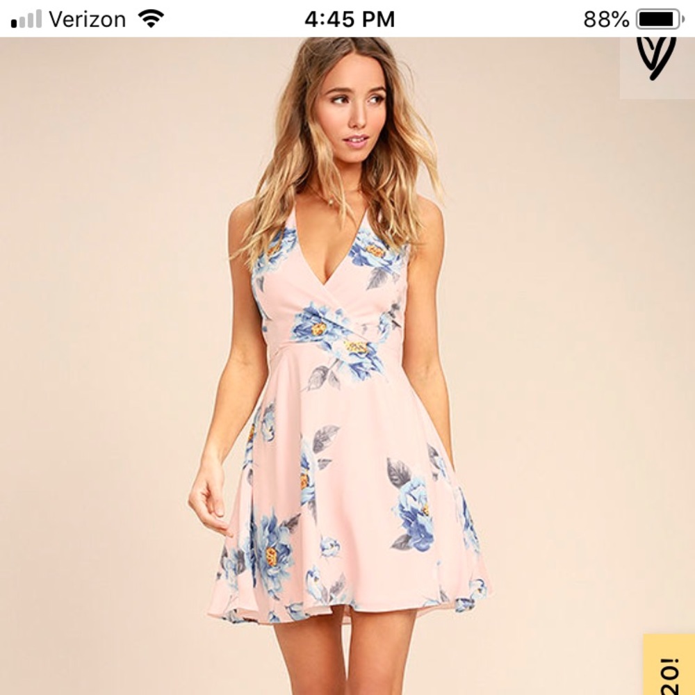 Lulus Garden Walk pink and blue skater dress